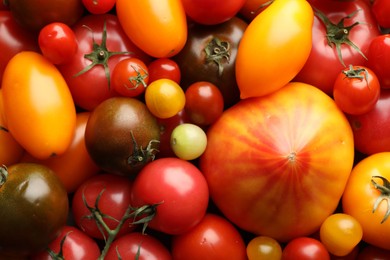 Photo of Different ripe juicy tomatoes as background, closeup
