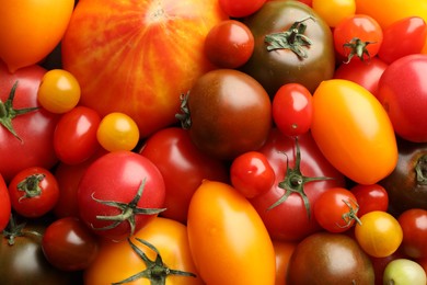 Photo of Different ripe juicy tomatoes as background, closeup