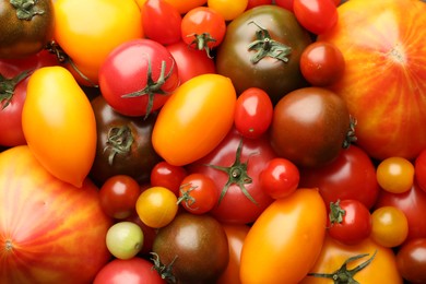 Photo of Different ripe juicy tomatoes as background, closeup
