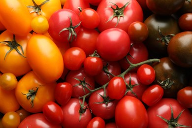 Photo of Different ripe juicy tomatoes as background, closeup