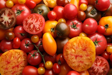 Photo of Different ripe juicy tomatoes as background, closeup