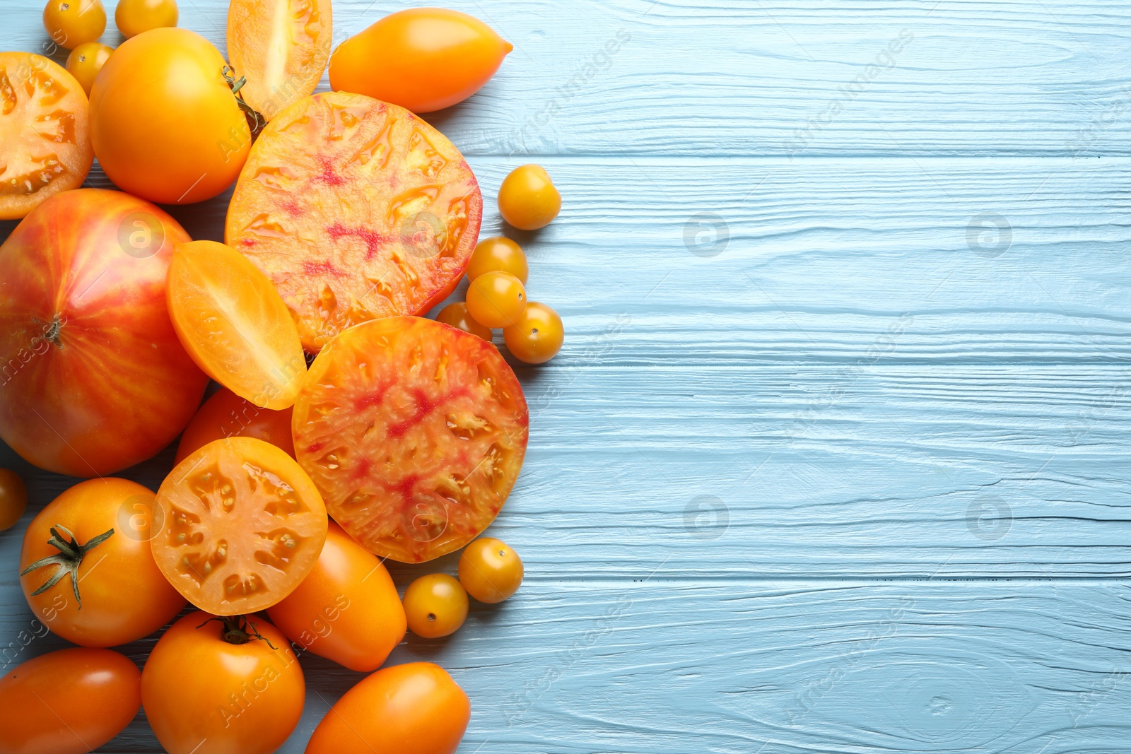 Many ripe yellow tomatoes on light blue wooden table, flat lay. Space for text Photo of Many ripe yellow tomatoes on light blue wooden table, flat lay. Space for text