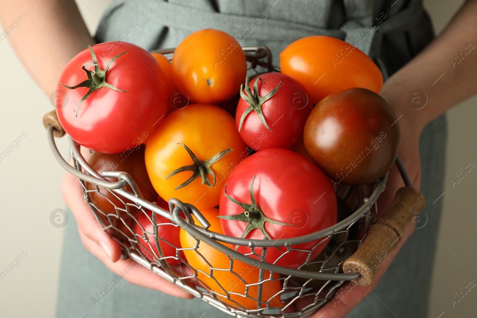Photo of Woman with ripe tomatoes in basket on light background, closeup