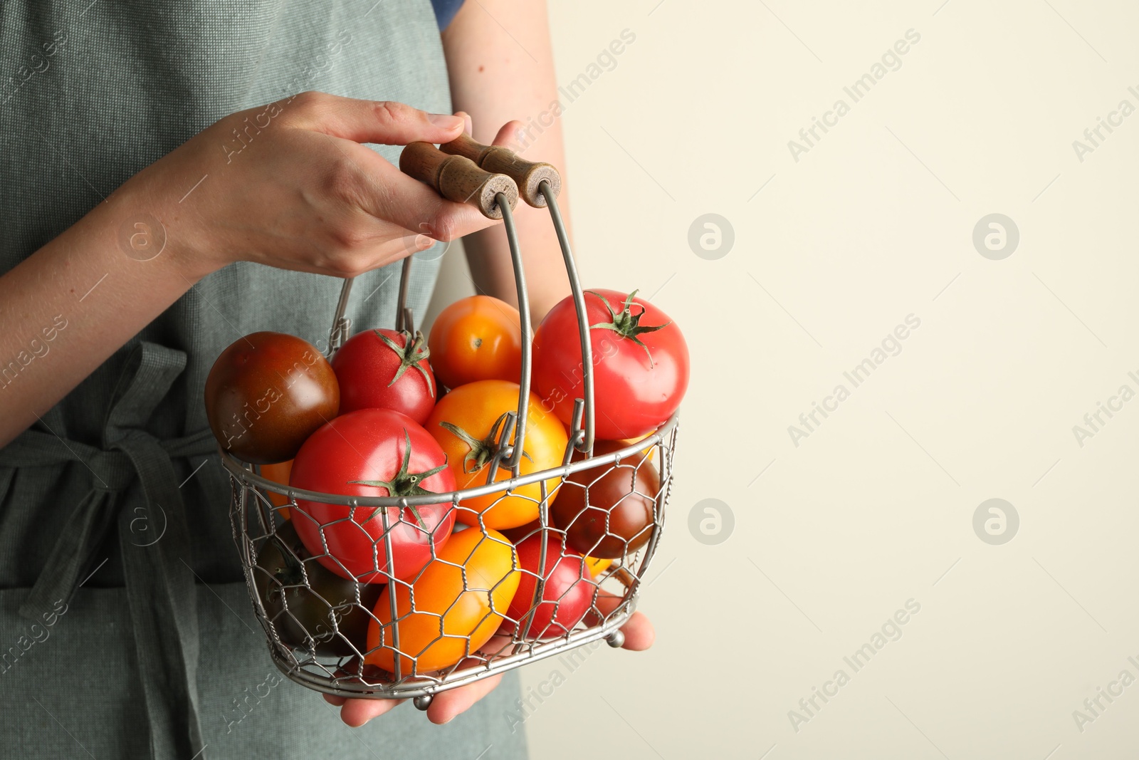 Woman with ripe tomatoes in basket on light background, closeup. Space for text Photo of Woman with ripe tomatoes in basket on light background, closeup. Space for text