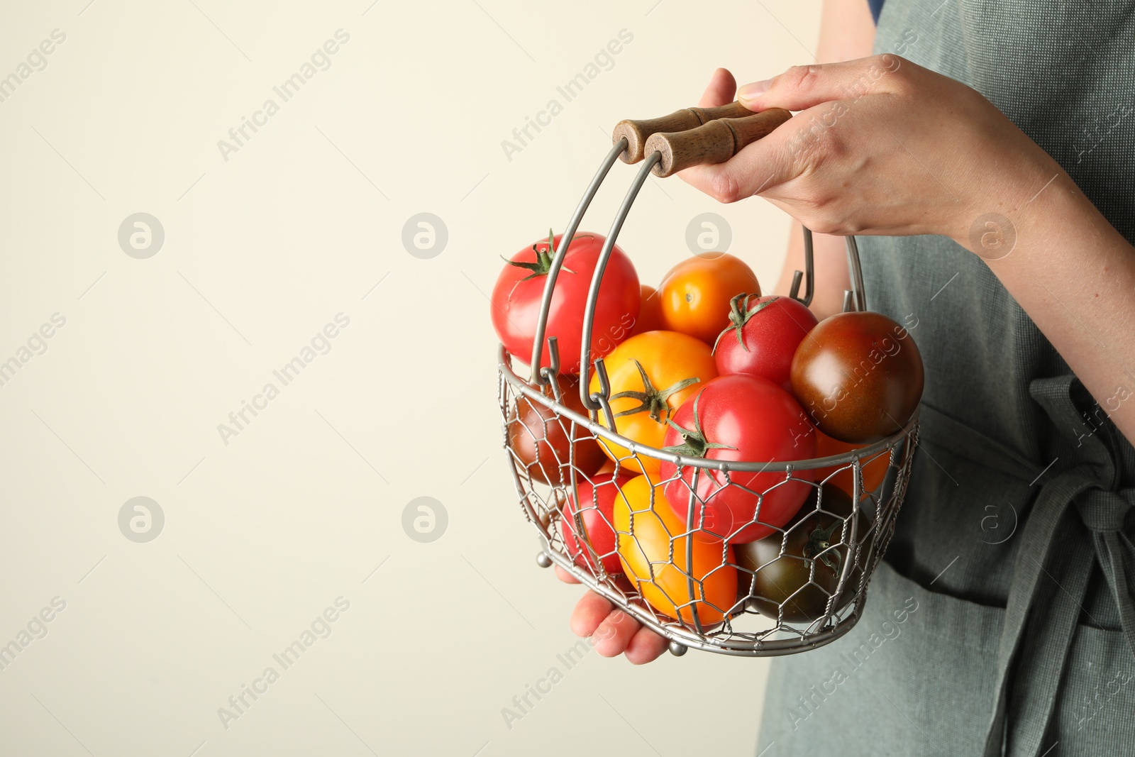 Woman with ripe tomatoes in basket on light background, closeup. Space for text Photo of Woman with ripe tomatoes in basket on light background, closeup. Space for text