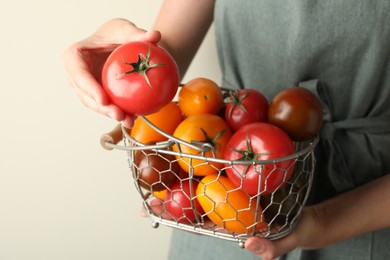 Photo of Woman with ripe tomatoes in basket on light background, closeup