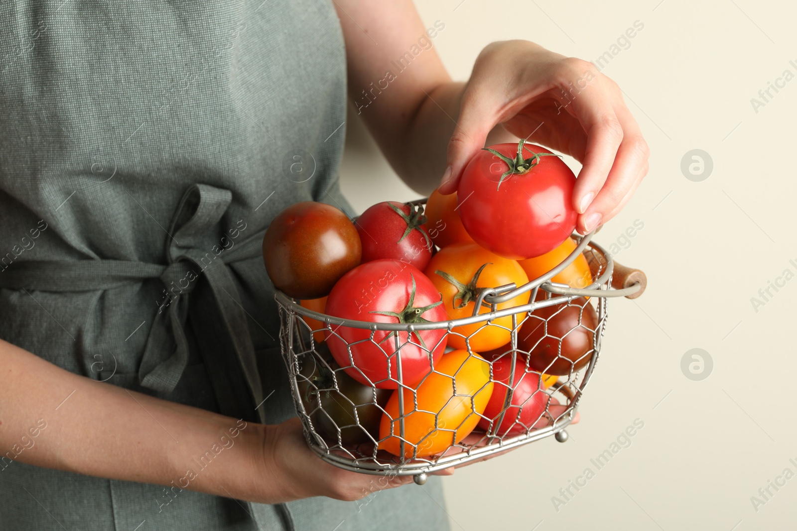 Photo of Woman with ripe tomatoes in basket on light background, closeup