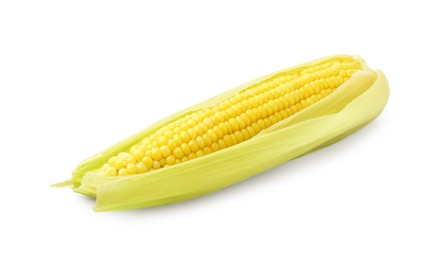 Photo of One tasty boiled corncob isolated on white