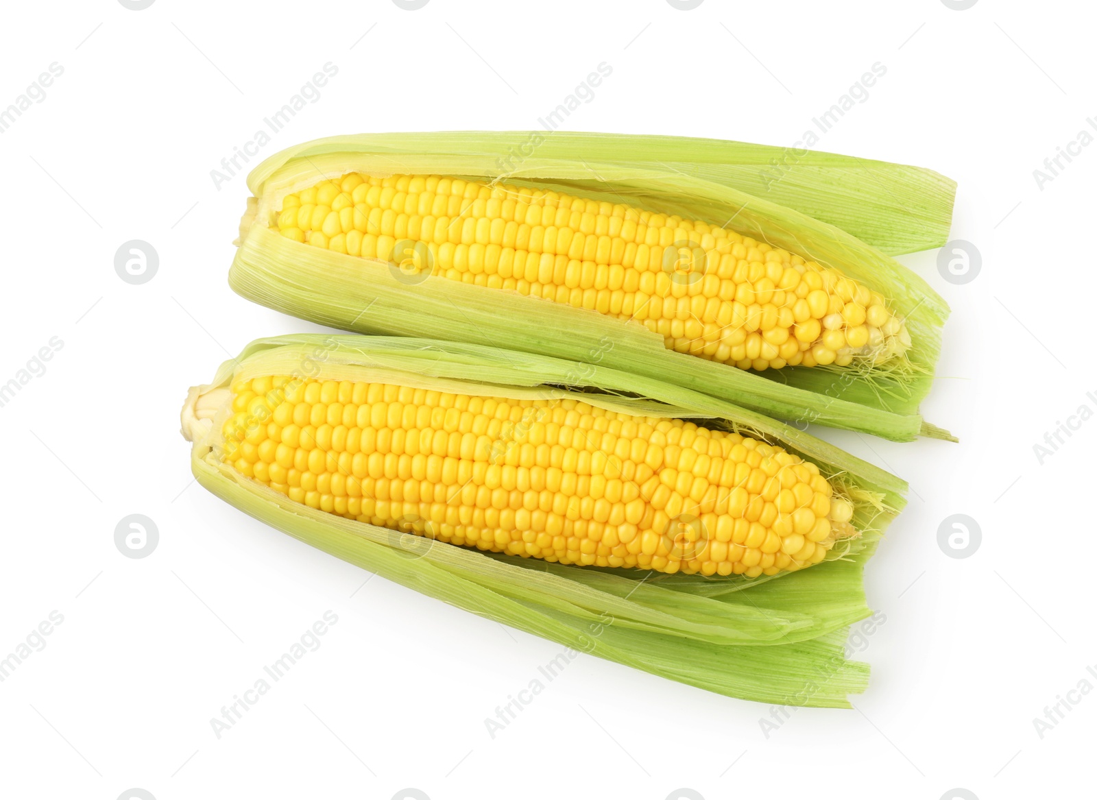 Two tasty boiled corncobs isolated on white, top view Photo of Two tasty boiled corncobs isolated on white, top view