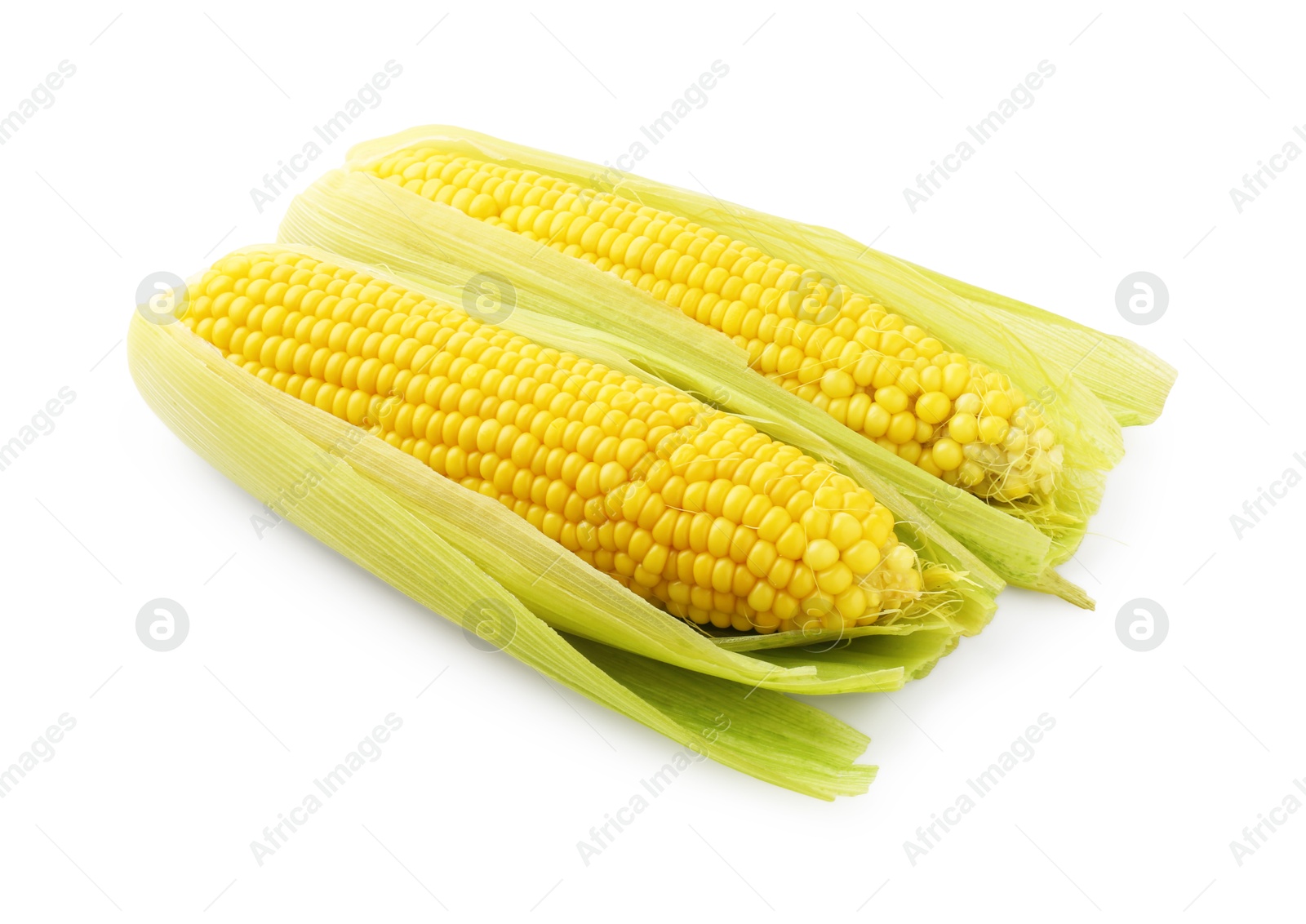 Photo of Two tasty boiled corncobs isolated on white