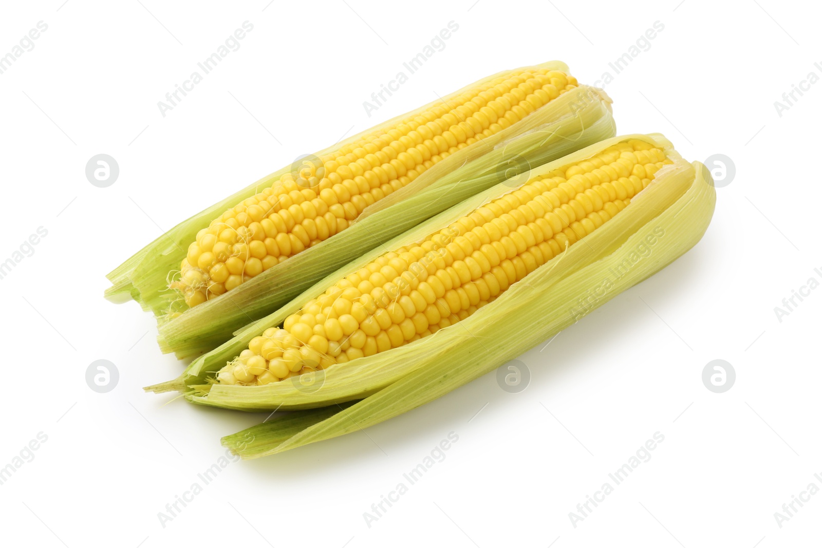 Two tasty boiled corncobs isolated on white Photo of Two tasty boiled corncobs isolated on white