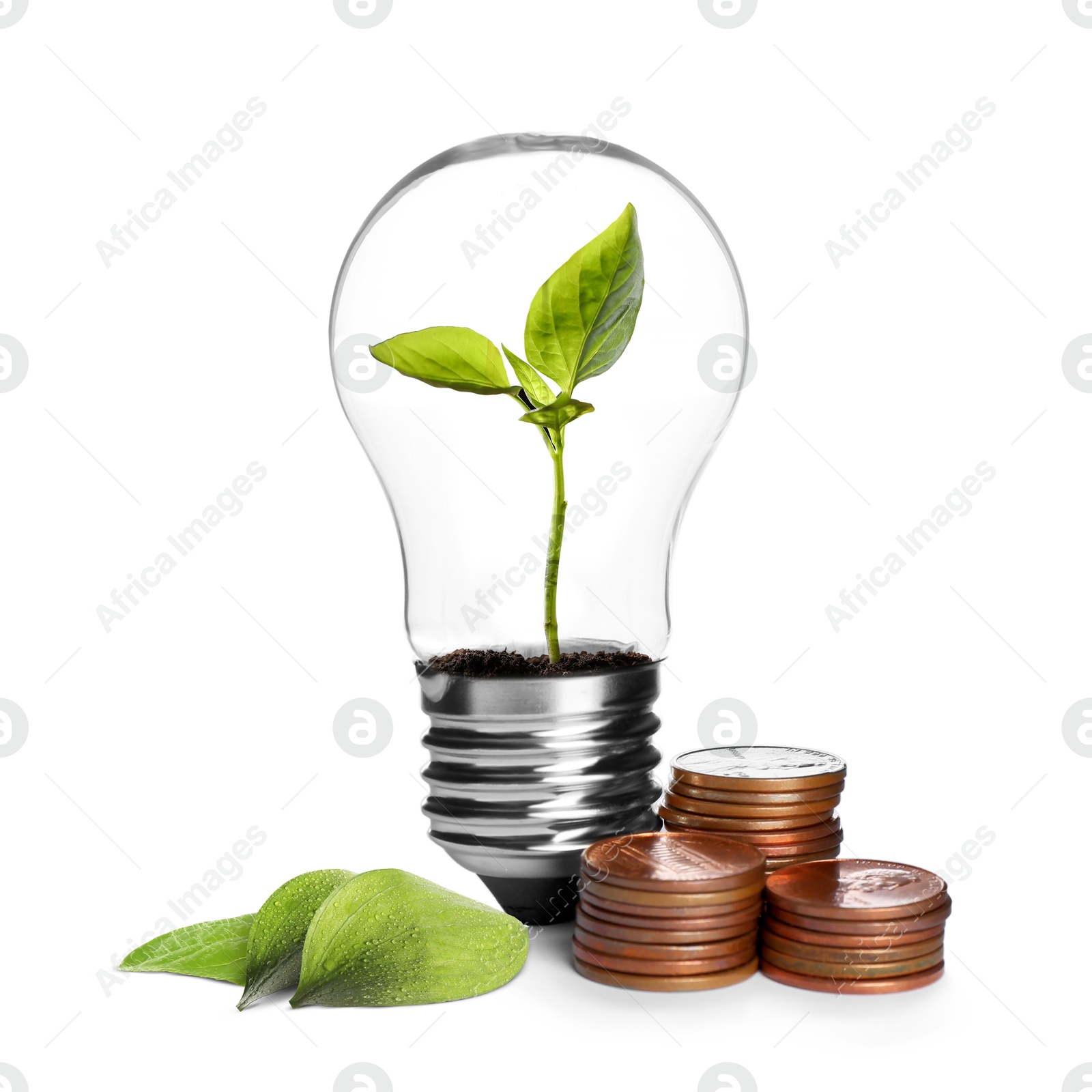 Electricity and nature. Light bulb with green plant and coins on white background Image of Electricity and nature. Light bulb with green plant and coins on white background