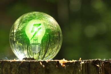 Image of Electricity and nature. Crystal ball with light bulb and lightning symbol inside on tree stump in forest
