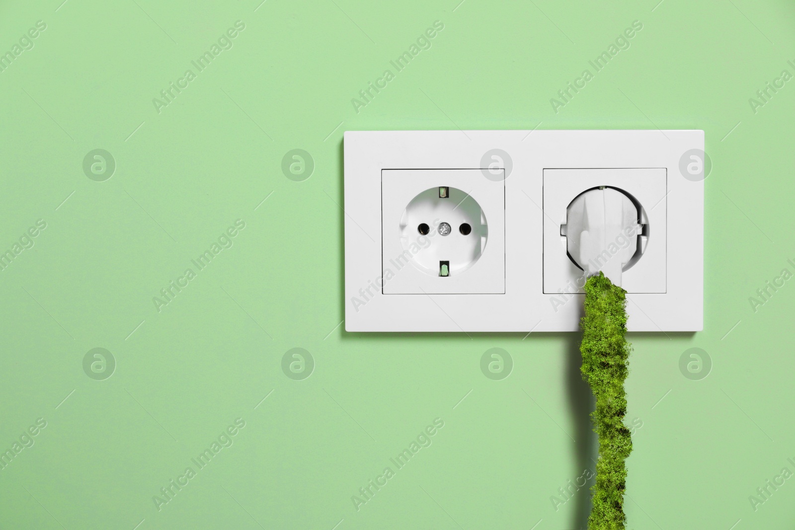 Electricity and nature. Power plug in socket on light green wall. Wire of power plug covered with green plants Image of Electricity and nature. Power plug in socket on light green wall. Wire of power plug covered with green plants