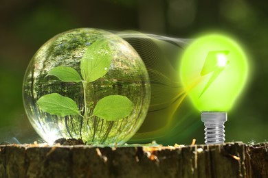 Image of Electricity and nature. Crystal with green plant inside powering light bulb with lightning symbol outdoors