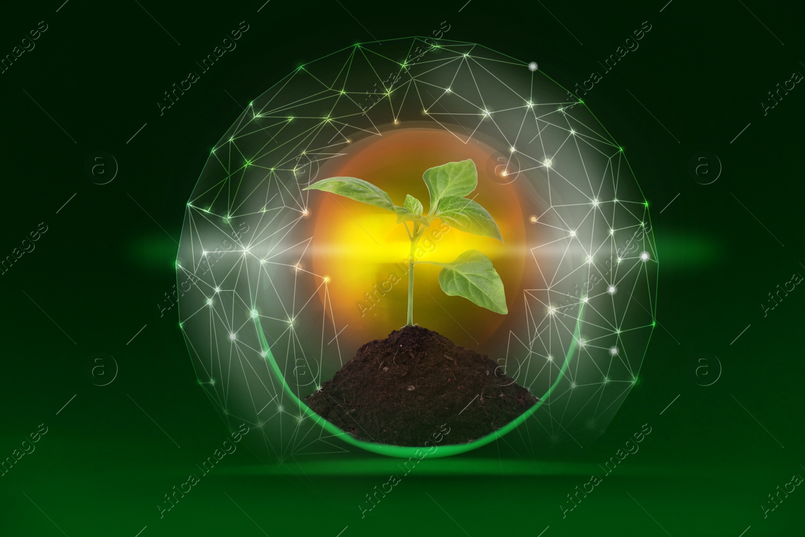 Electricity and nature. Digital network around plant in soil against green gradient background Image of Electricity and nature. Digital network around plant in soil against green gradient background