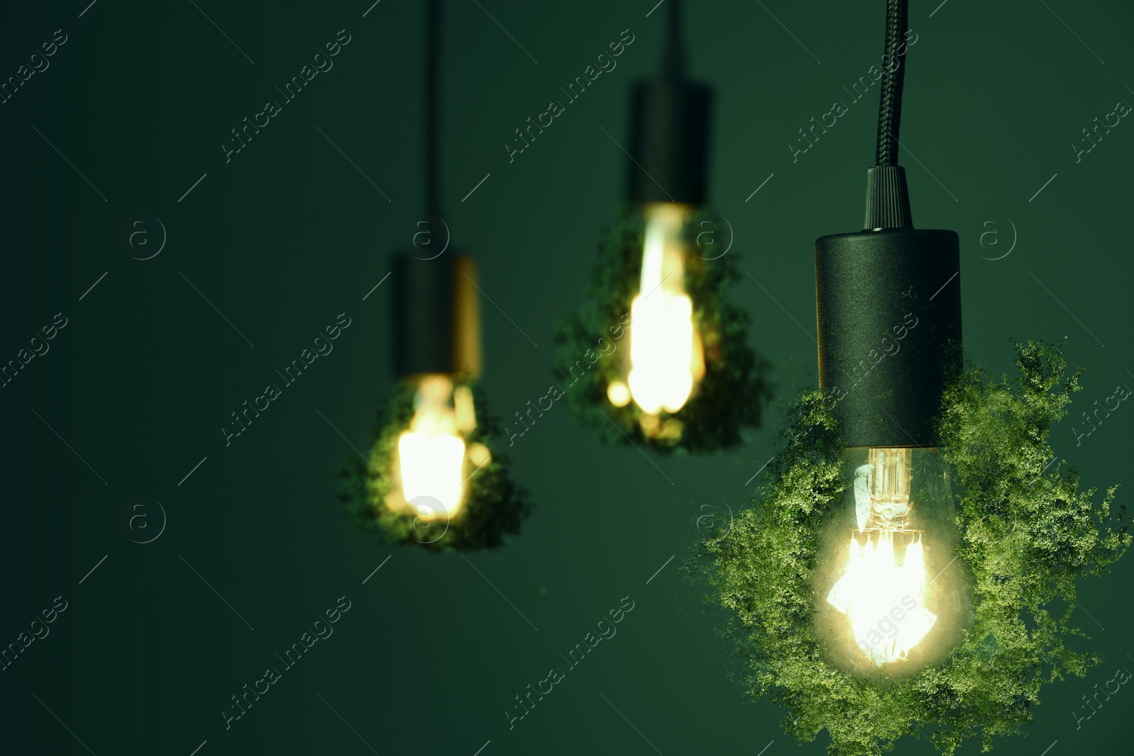 Electricity and nature. Light bulbs with greenery hanging against dark green background Image of Electricity and nature. Light bulbs with greenery hanging against dark green background