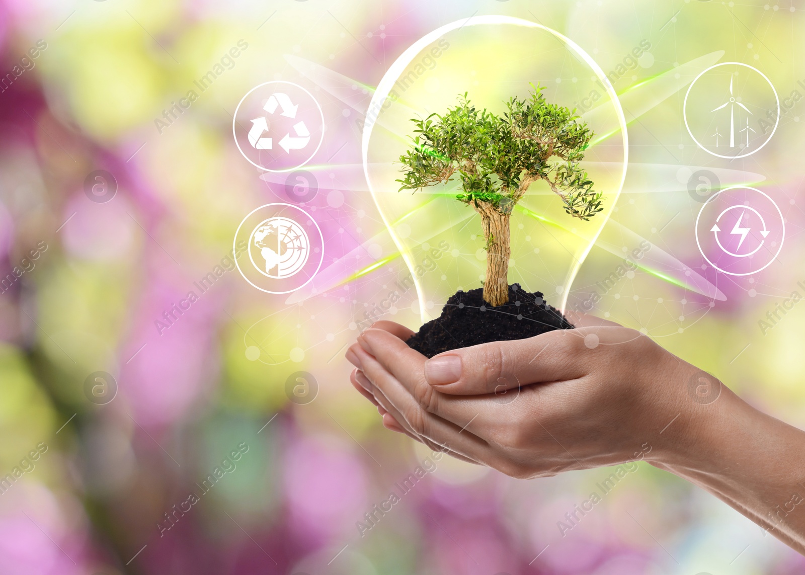 Electricity and nature. Woman holding light bulb with soil and tree outdoors, closeup. Different icons near plant Image of Electricity and nature. Woman holding light bulb with soil and tree outdoors, closeup. Different icons near plant