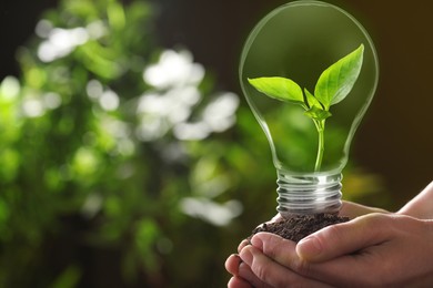 Image of Electricity and nature. Woman holding soil with green plant inside light bulb against blurred background, closeup
