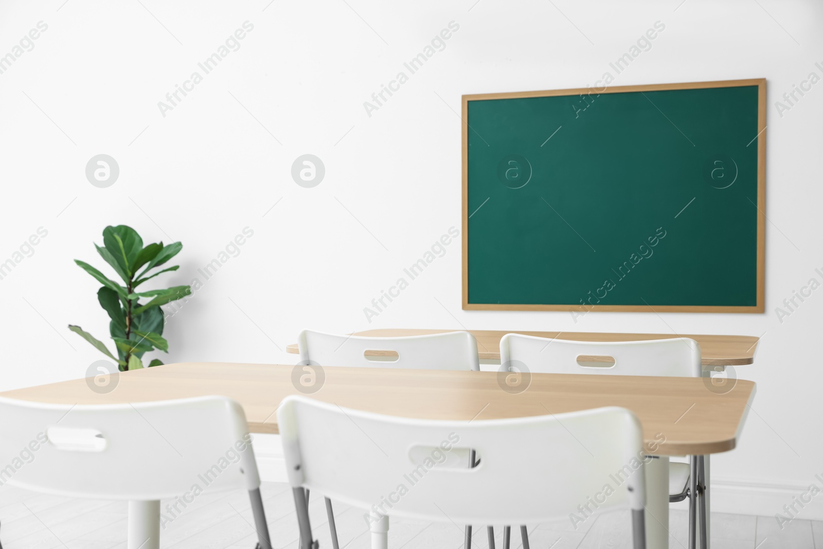 Photo of Blank green chalkboard, desks, chairs and plant in classroom