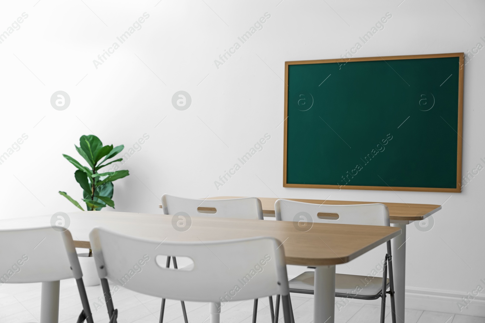 Photo of Blank green chalkboard, desks, chairs and plant in classroom