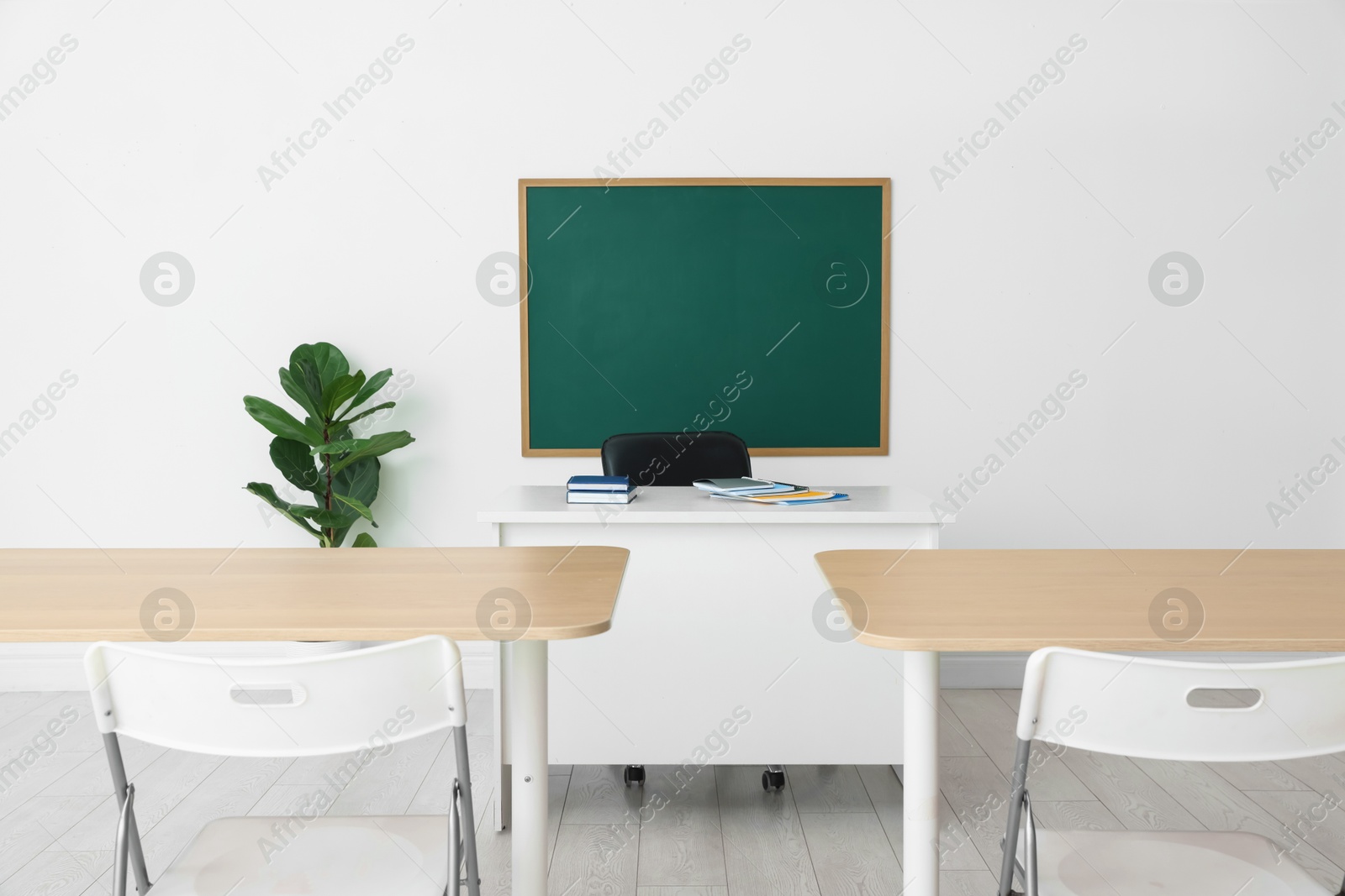 Photo of Blank green chalkboard, desks, chairs and plant in classroom