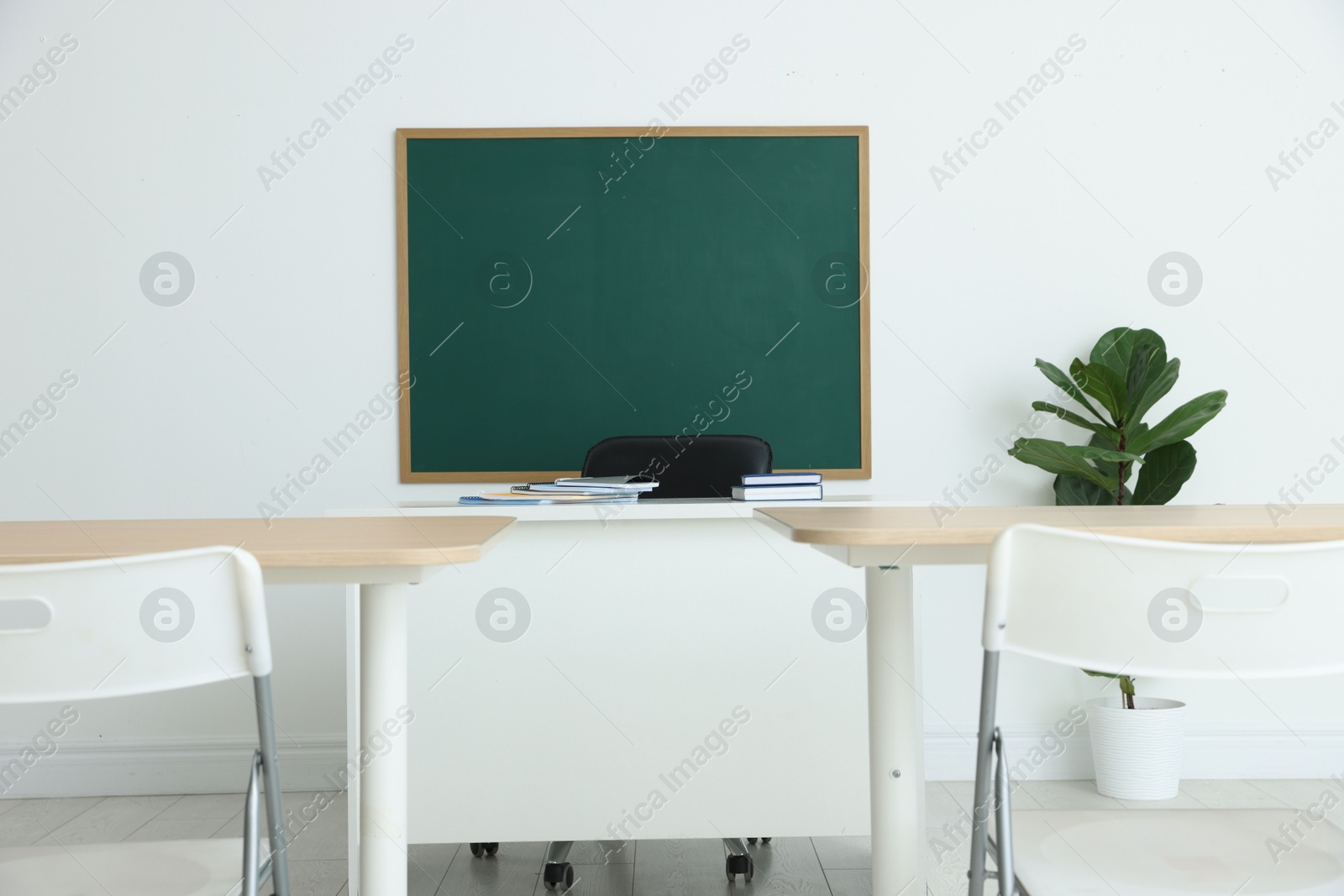 Photo of Blank green chalkboard, desks, chairs and plant in classroom