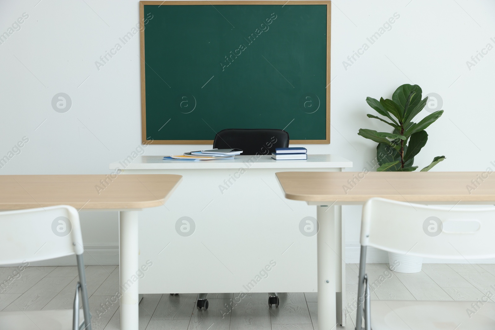 Photo of Blank green chalkboard, desks, chairs and plant in classroom