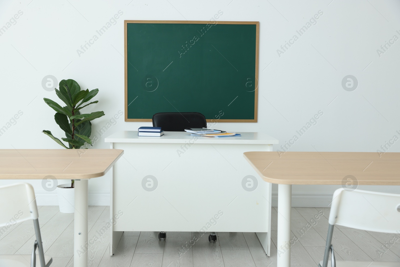 Photo of Blank green chalkboard, desks, chairs and plant in classroom