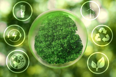Image of Electricity and nature. Crystal ball with plant and different icons around against blurred green background