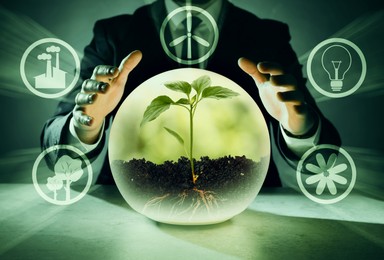 Image of Electricity and nature. Businessman and crystal ball with green plant at table, closeup. Different icons around