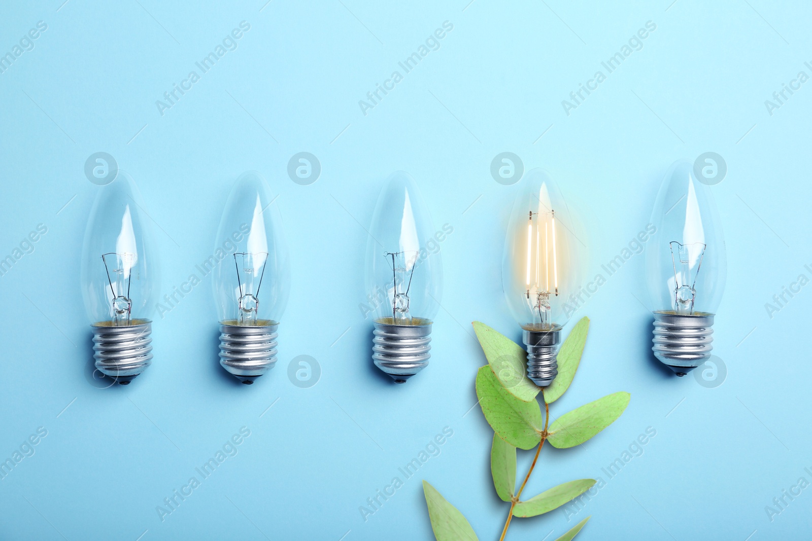 Electricity and nature. One glowing light bulb with plant among others on light blue background, top view Image of Electricity and nature. One glowing light bulb with plant among others on light blue background, top view