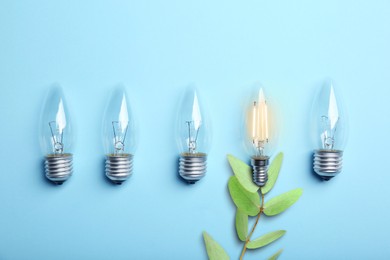 Image of Electricity and nature. One glowing light bulb with plant among others on light blue background, top view