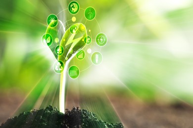 Image of Electricity and nature. Green plant with lightning symbol in soil outdoors. Scheme with different icons
