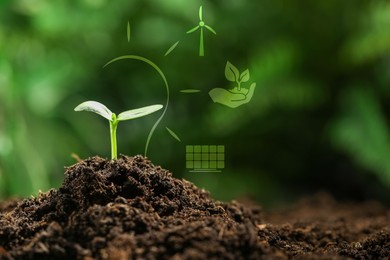 Image of Electricity and nature. Green plant in soil outdoors. Light bulb outline and different icons