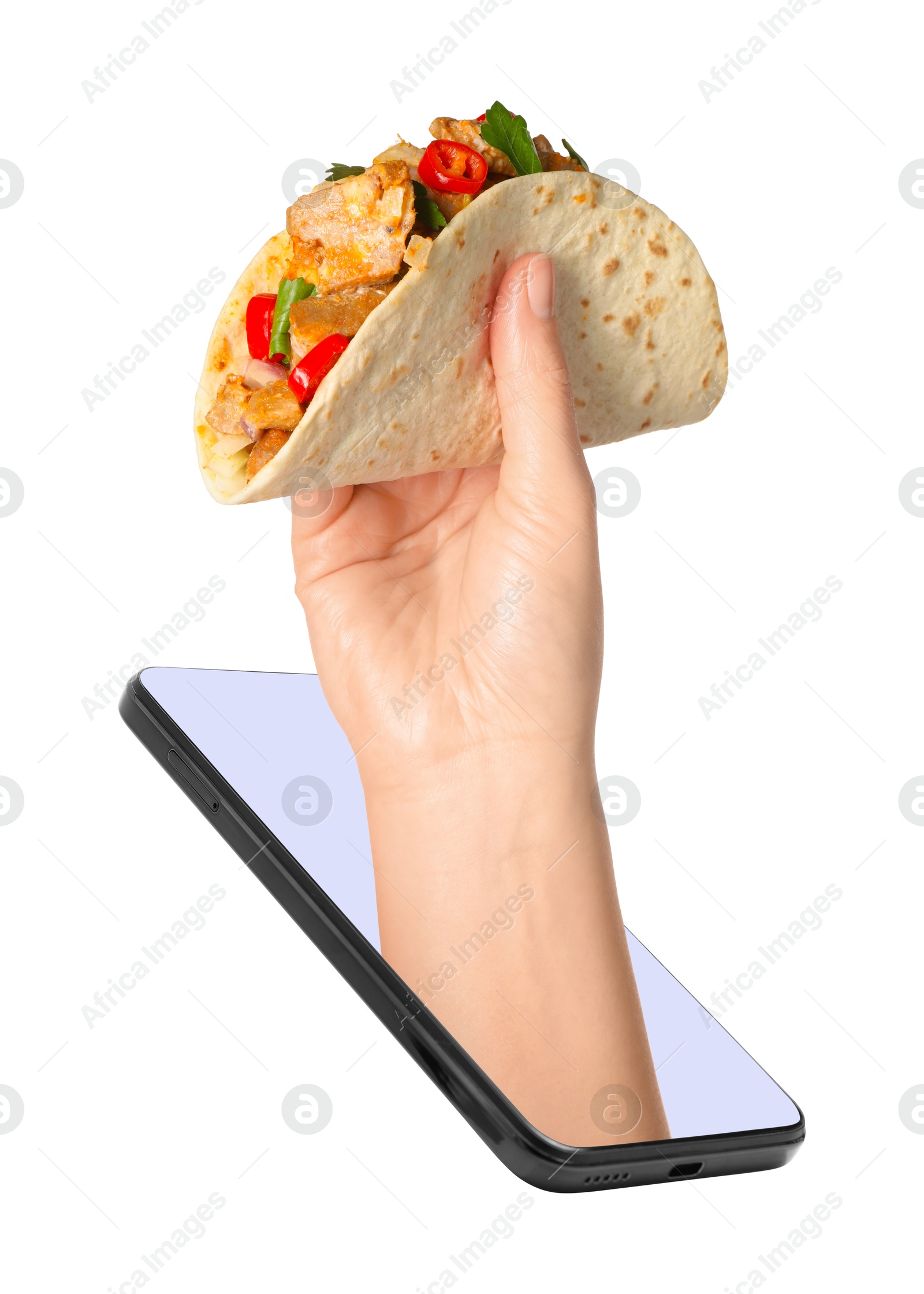 Image of Food ordering and delivery service. Woman's hand with tasty taco, sticking out of mobile phone display against white background, closeup