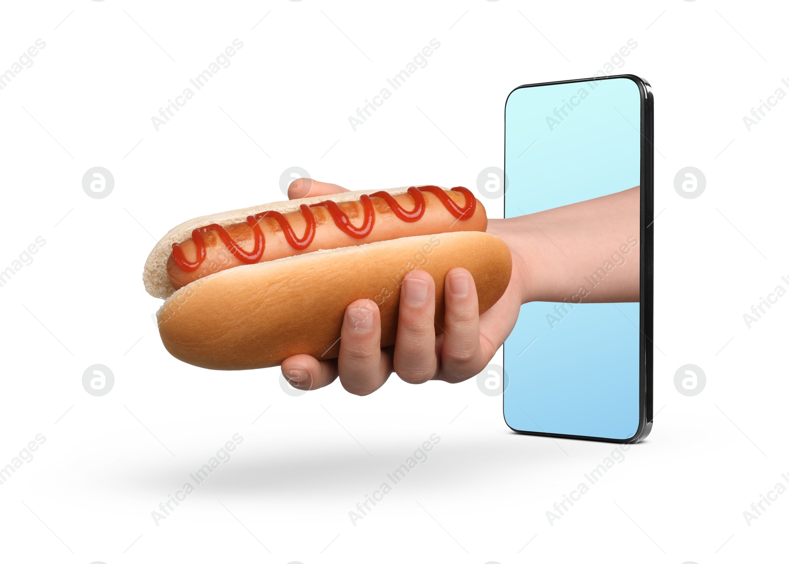 Image of Food ordering and delivery service. Woman's hand with tasty hot dog, sticking out of mobile phone display against white background, closeup