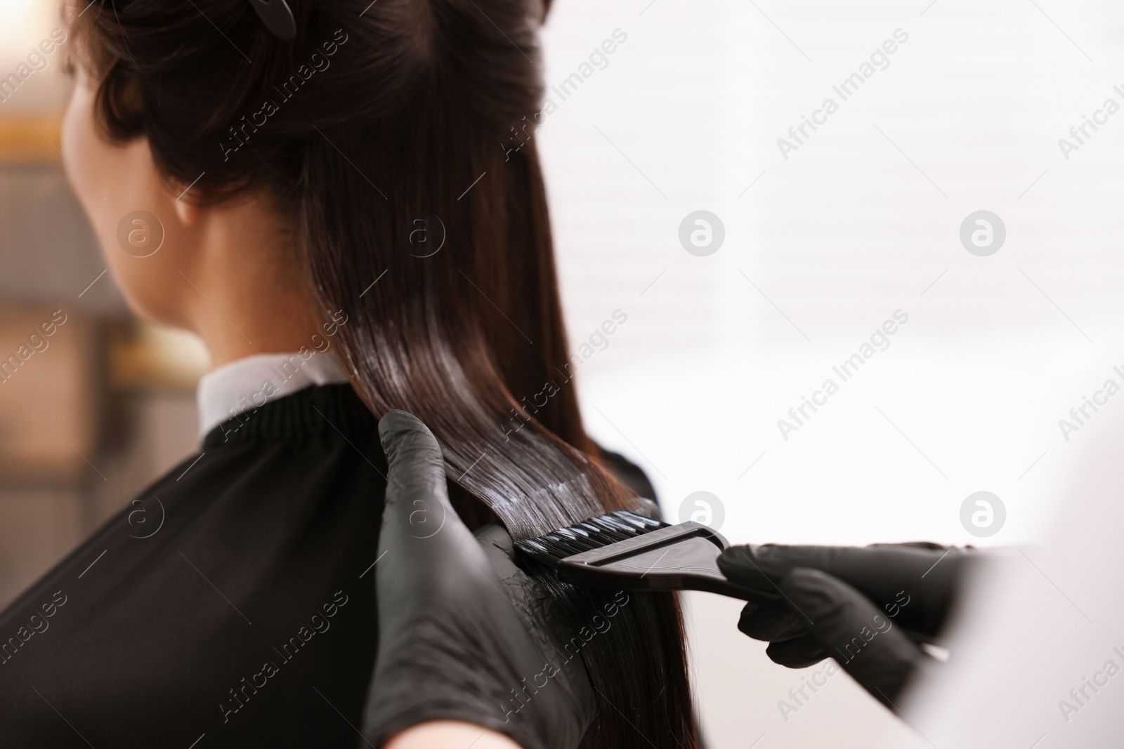 Hairdresser laminating woman's hair in salon, closeup Photo of Hairdresser laminating woman's hair in salon, closeup