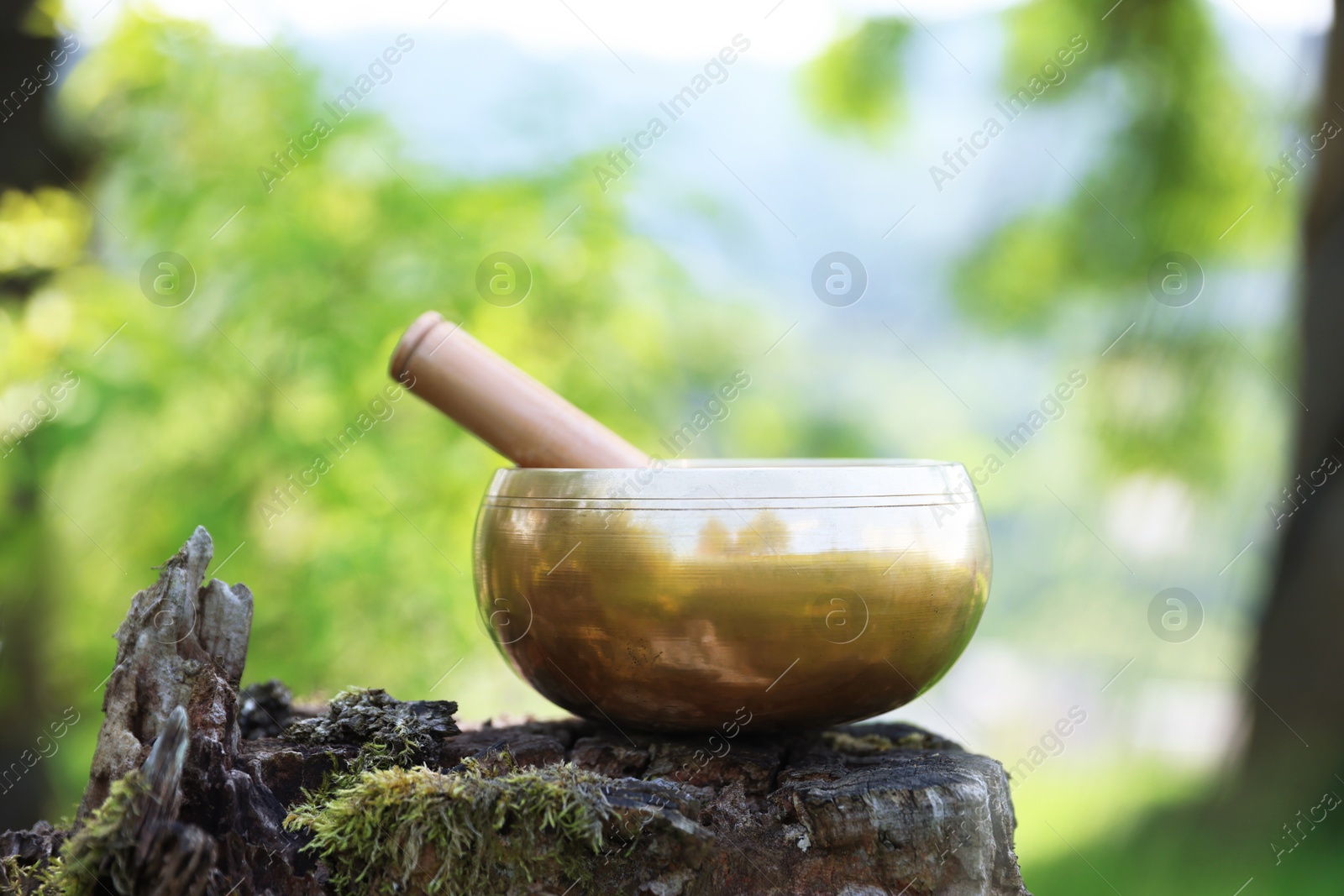 Photo of Tibetan singing bowl with mallet on tree stump outdoors