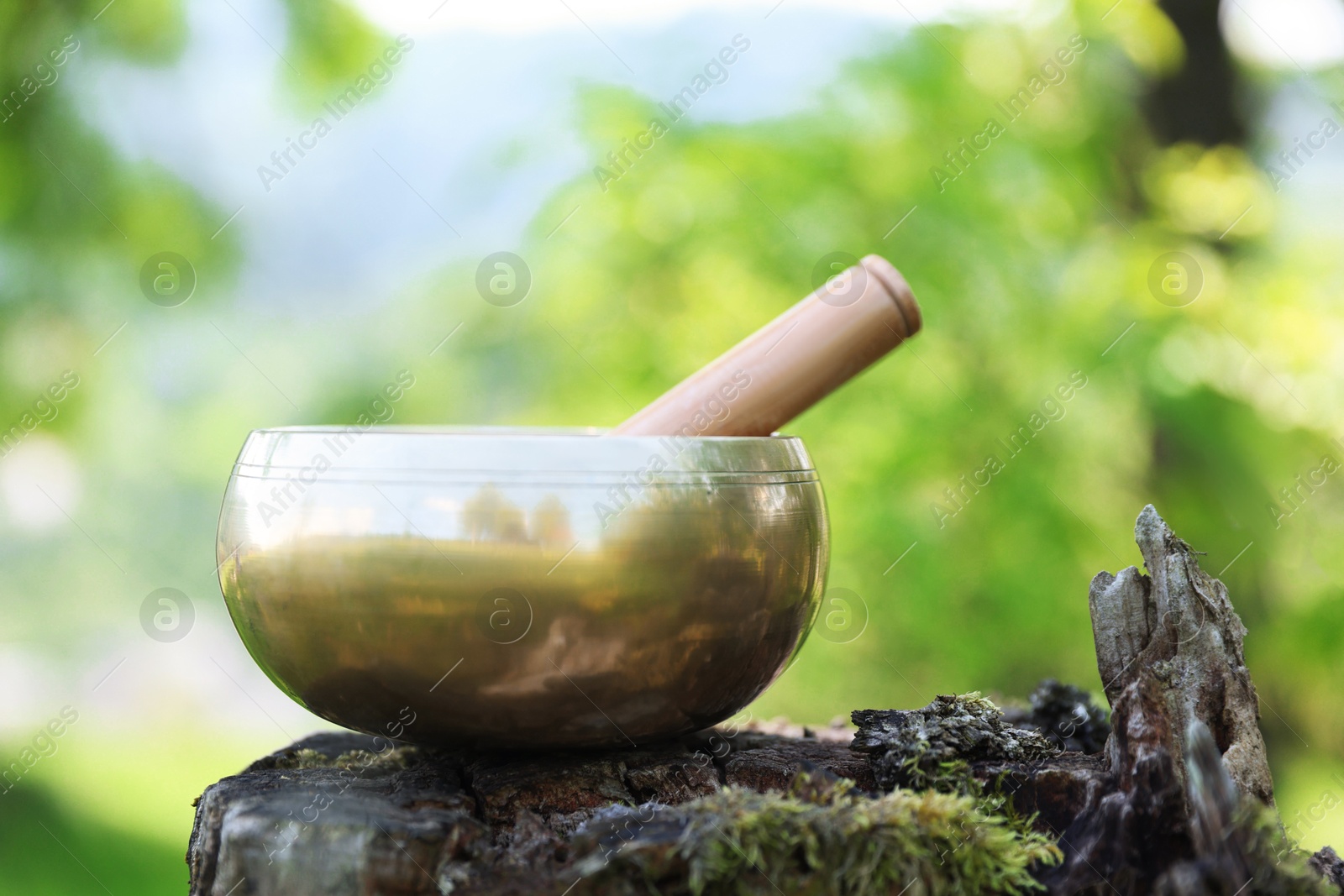 Photo of Tibetan singing bowl with mallet on tree stump outdoors, closeup