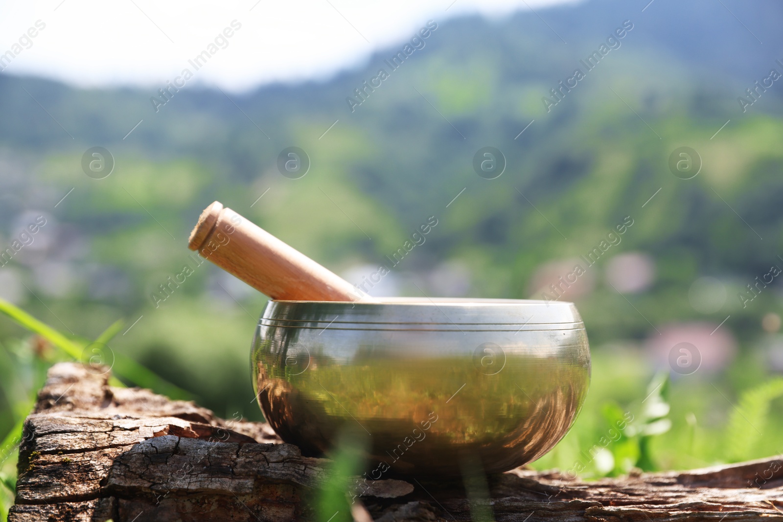 Photo of Tibetan singing bowl with mallet on piece of wood outdoors