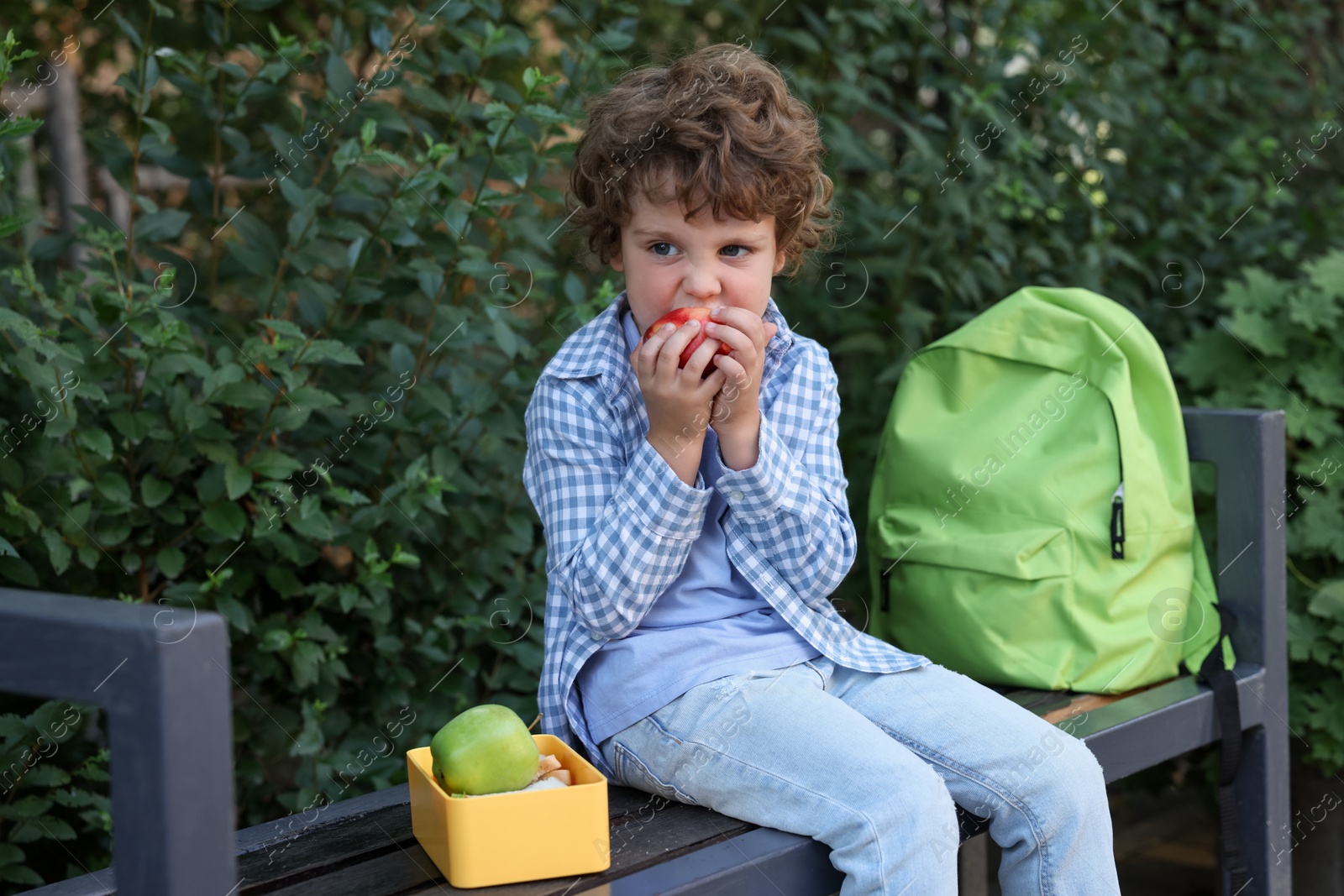 Cute little boy eating apple on bench outdoors. School lunch Photo of Cute little boy eating apple on bench outdoors. School lunch