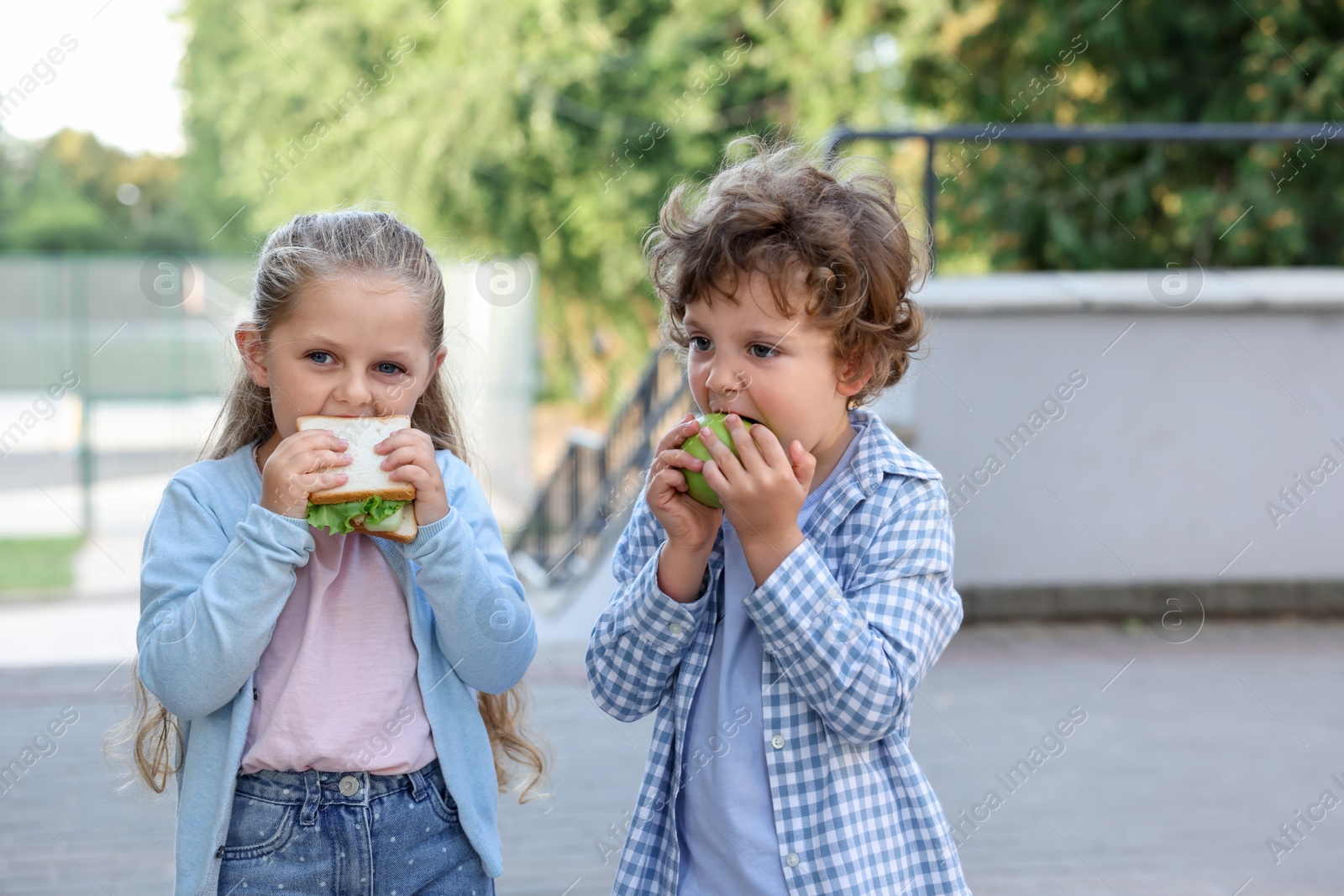 Cute kids eating food outdoors. School lunch Photo of Cute kids eating food outdoors. School lunch