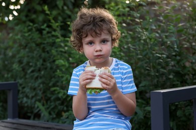 Photo of Cute little boy eating sandwich on bench outdoors. School lunch