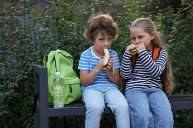 Photo of Cute little kids eating food on bench outdoors. School lunch