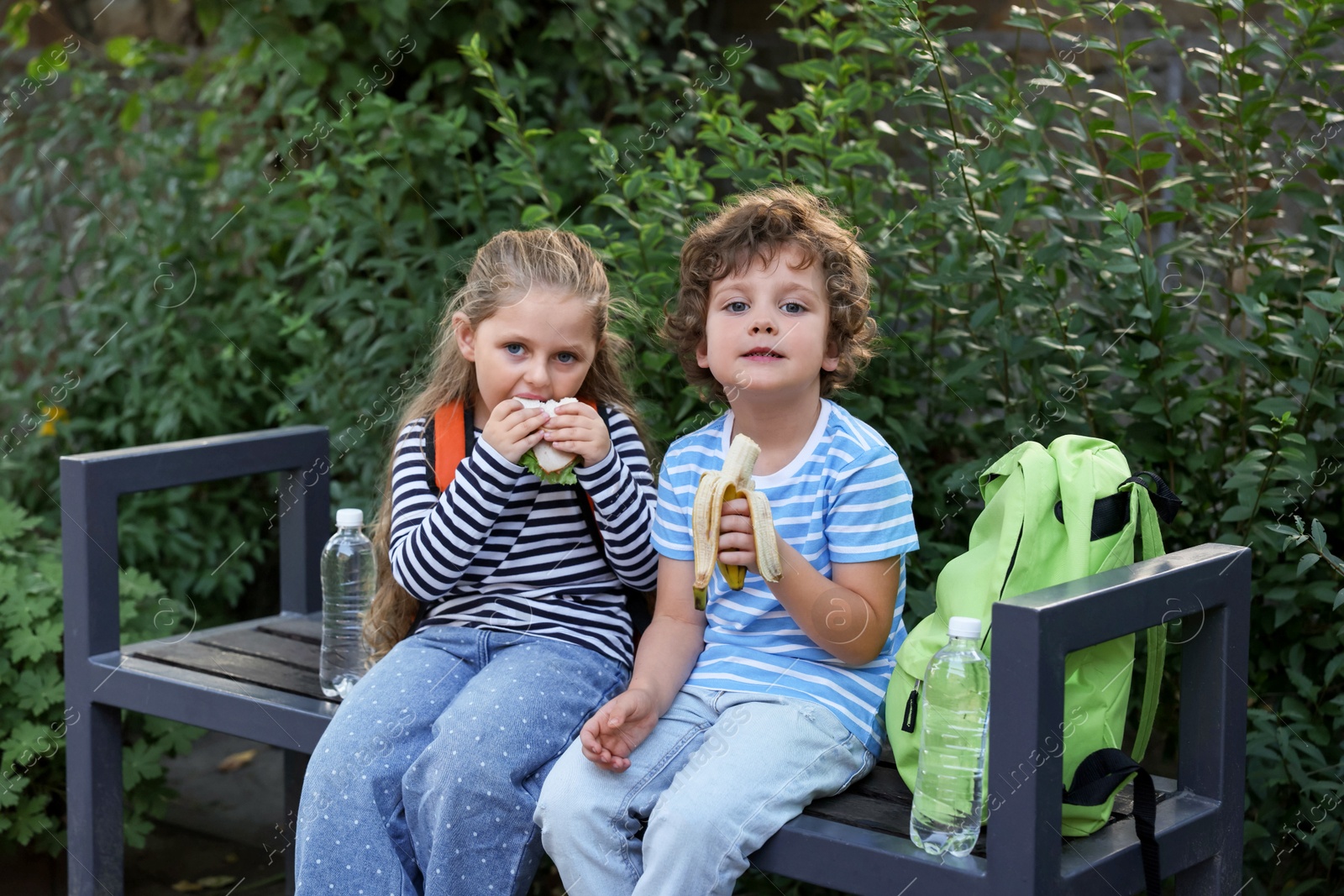 Cute little kids eating food on bench outdoors. School lunch Photo of Cute little kids eating food on bench outdoors. School lunch