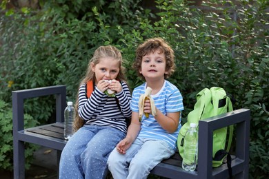 Photo of Cute little kids eating food on bench outdoors. School lunch