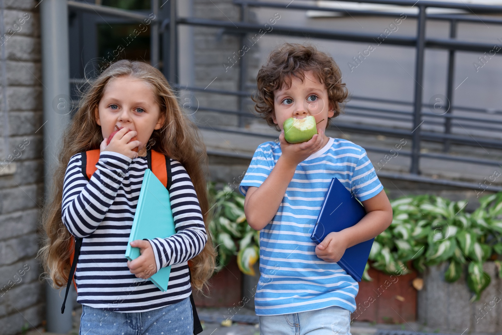 Cute little kids eating apples outdoors. School lunch Photo of Cute little kids eating apples outdoors. School lunch