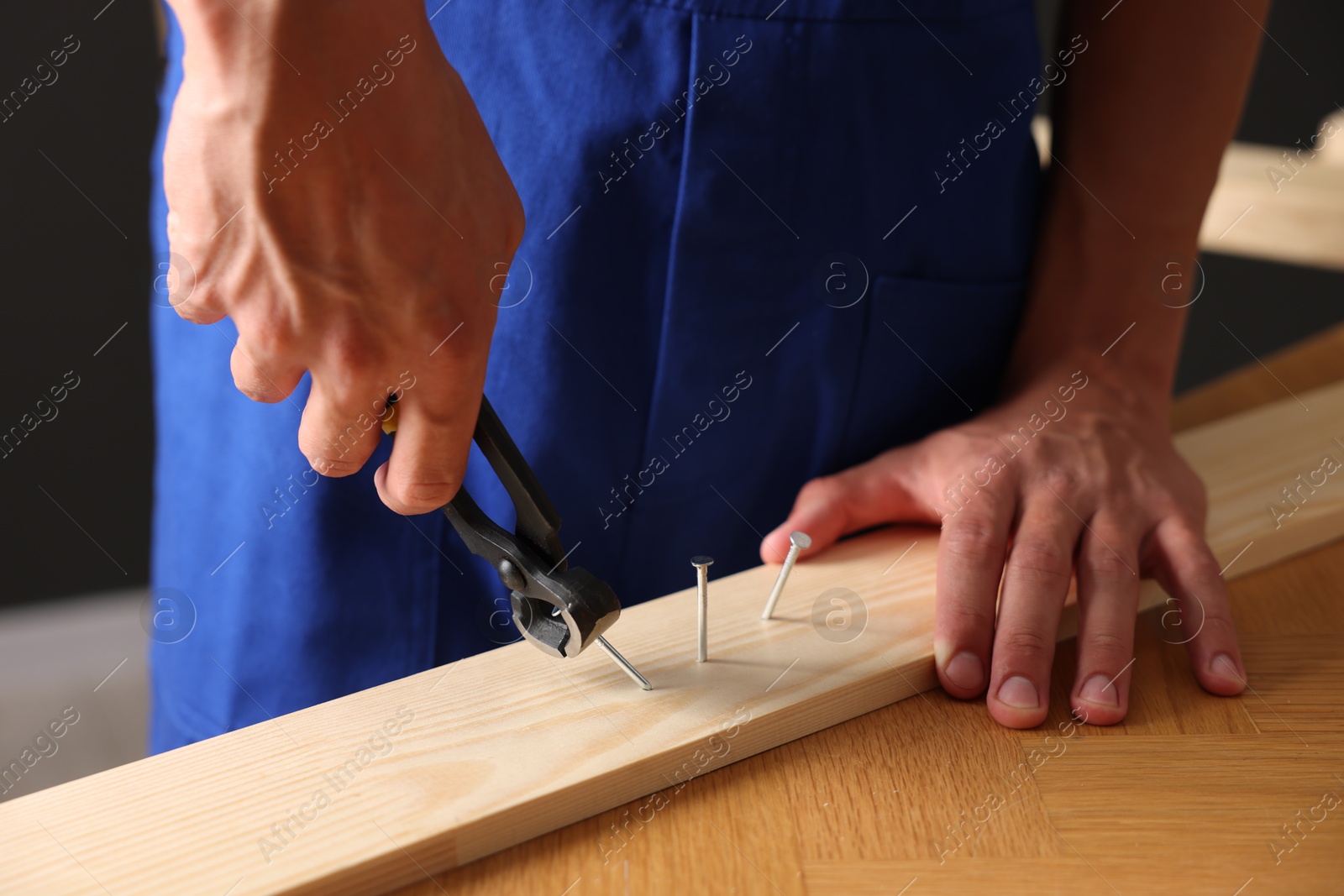 Professional repairman pulling metal nail out of wooden plank with pincers indoors, closeup Photo of Professional repairman pulling metal nail out of wooden plank with pincers indoors, closeup