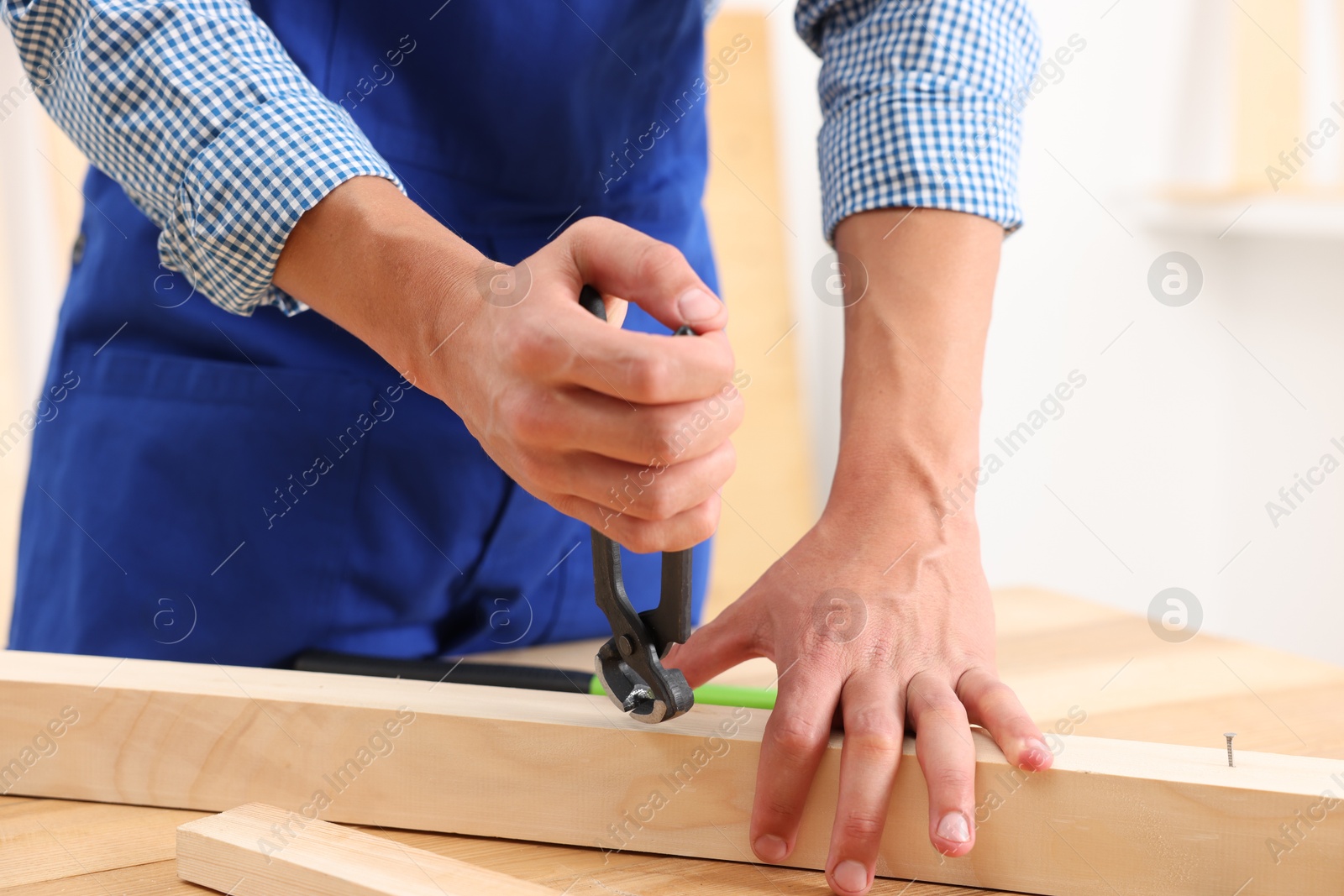 Professional repairman pulling metal nail out of wooden plank with pincers indoors, closeup Photo of Professional repairman pulling metal nail out of wooden plank with pincers indoors, closeup